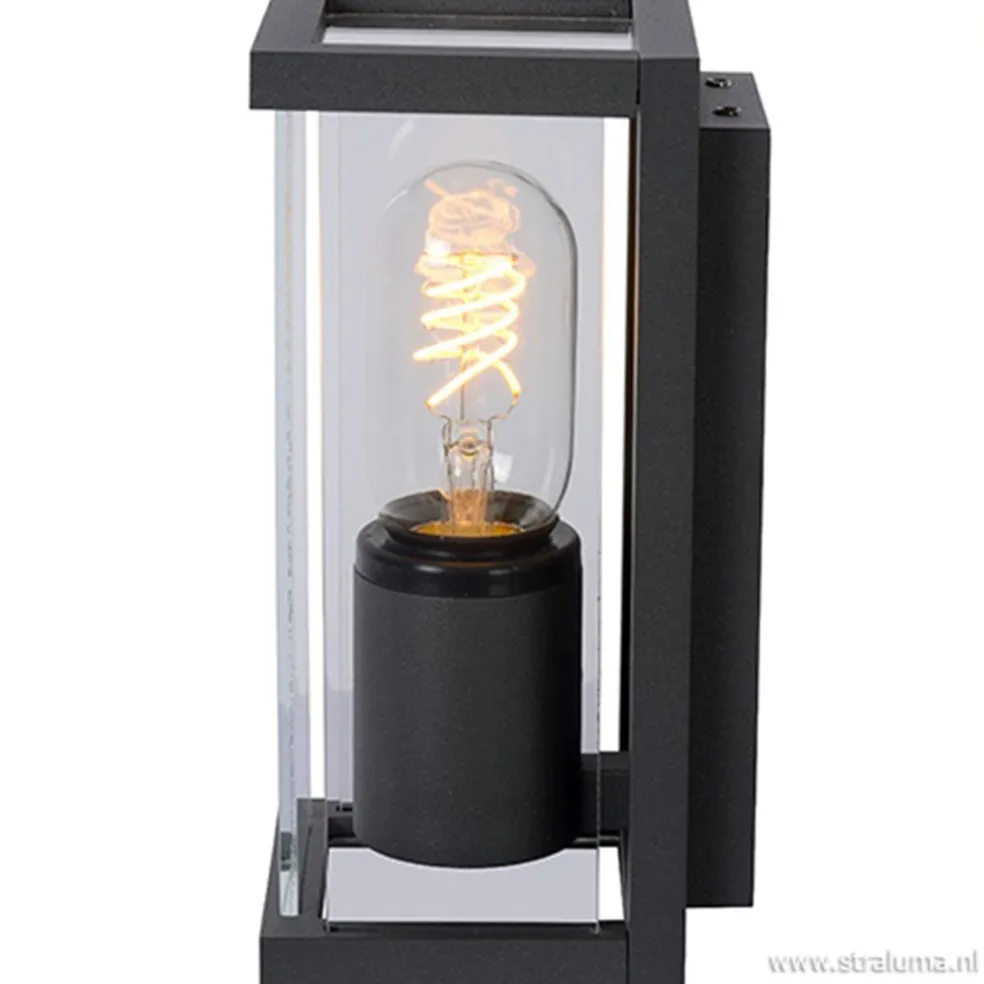 Wandlamp buiten antraciet/glas IP54