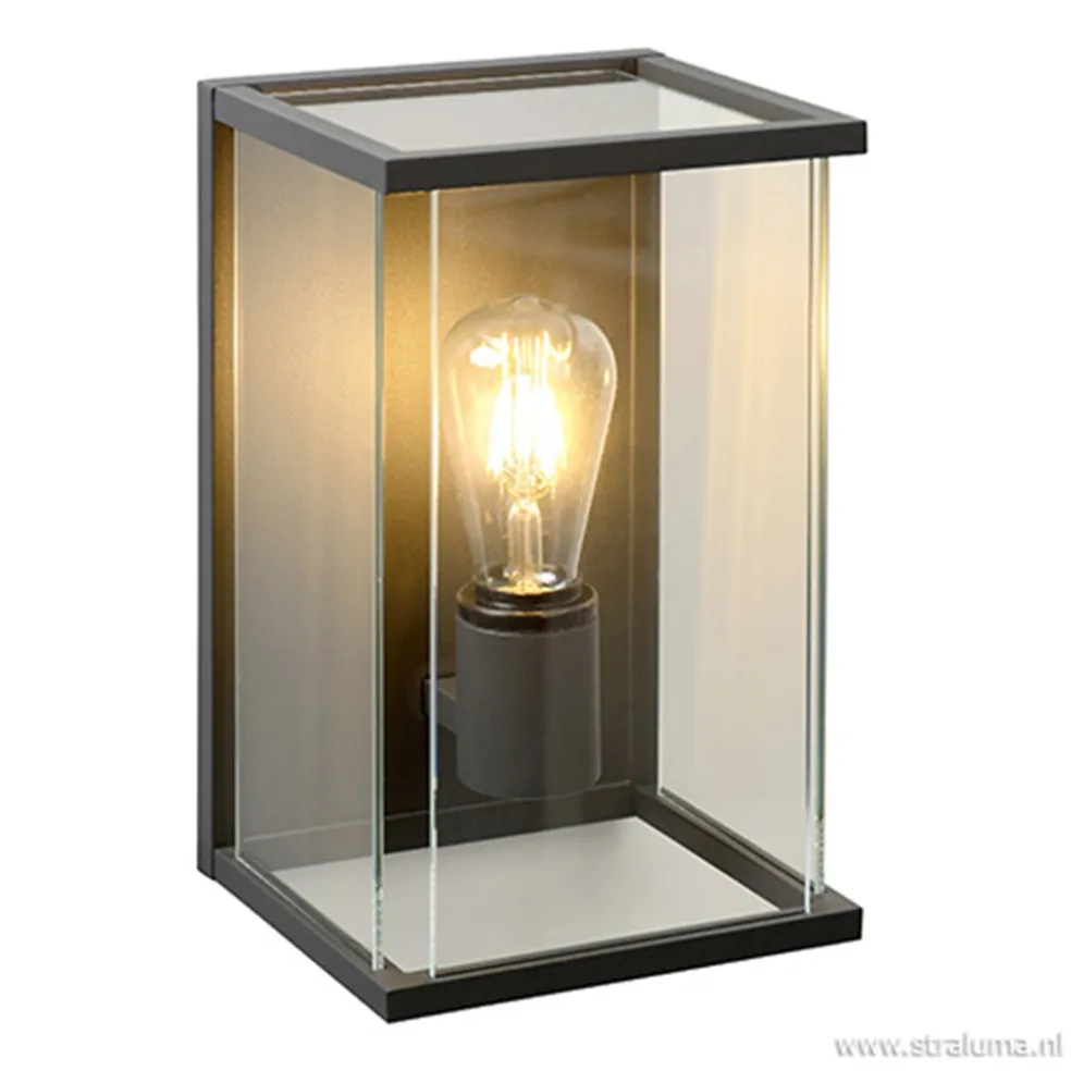 Wandlamp buiten antraciet/glas IP54