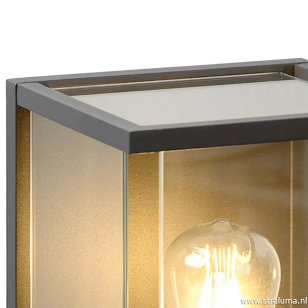 Wandlamp buiten antraciet/glas IP54
