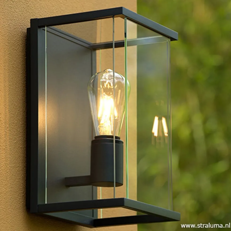 Wandlamp buiten antraciet/glas IP54