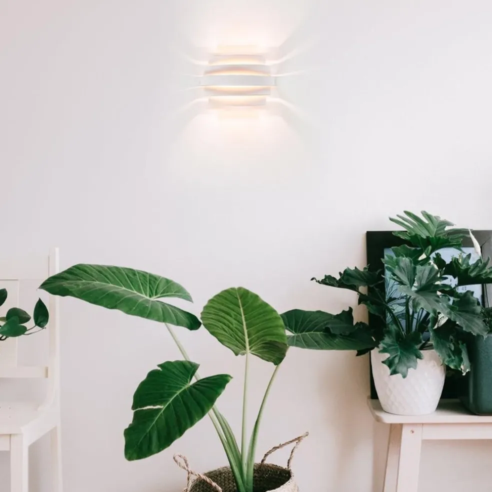 Wandlamp Scudo klein wit/goud