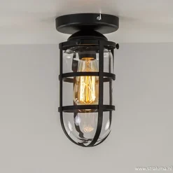 Zwarte Kooi- plafondlamp met glas