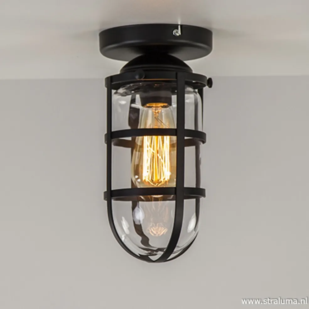 Zwarte Kooi- plafondlamp met glas