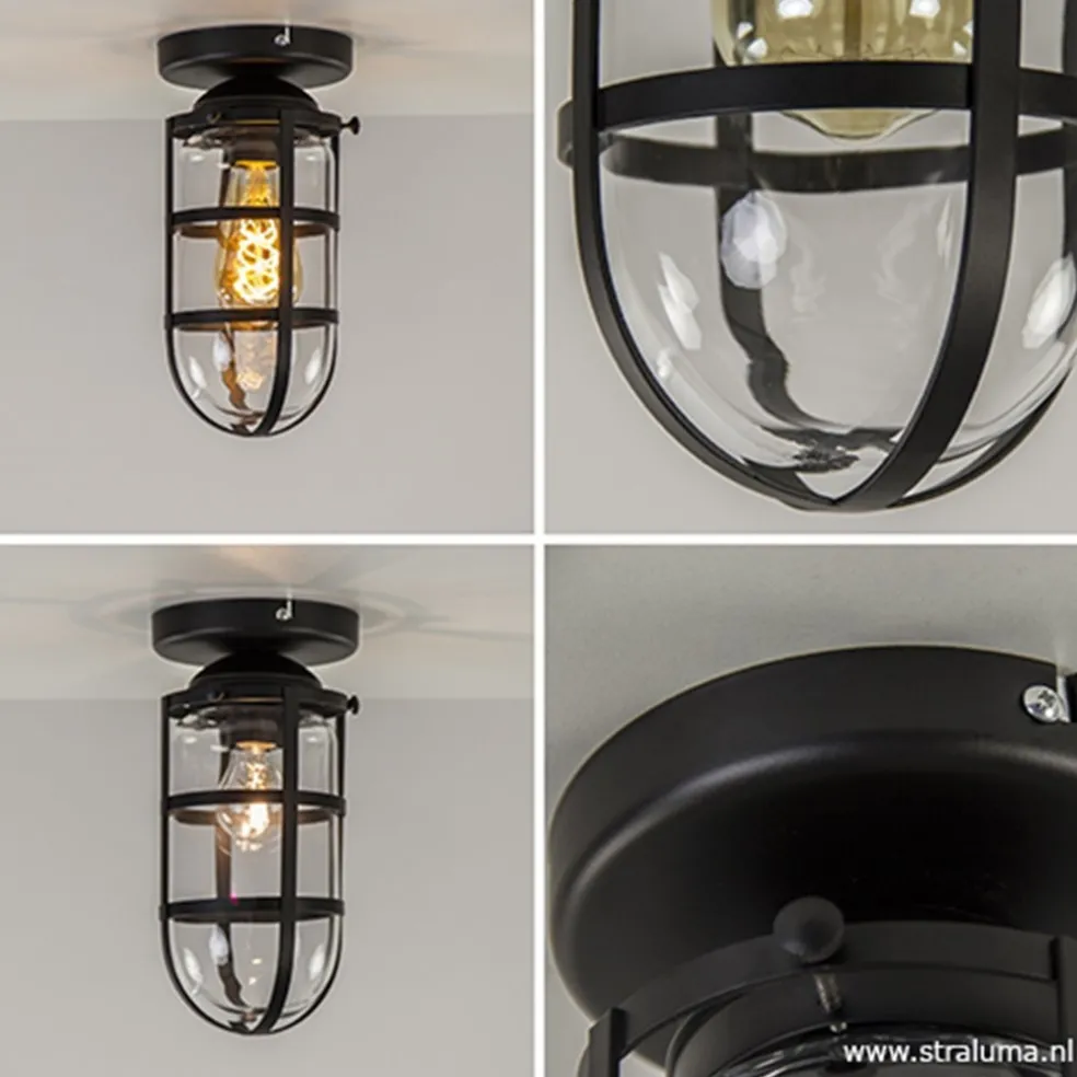 Zwarte Kooi- plafondlamp met glas