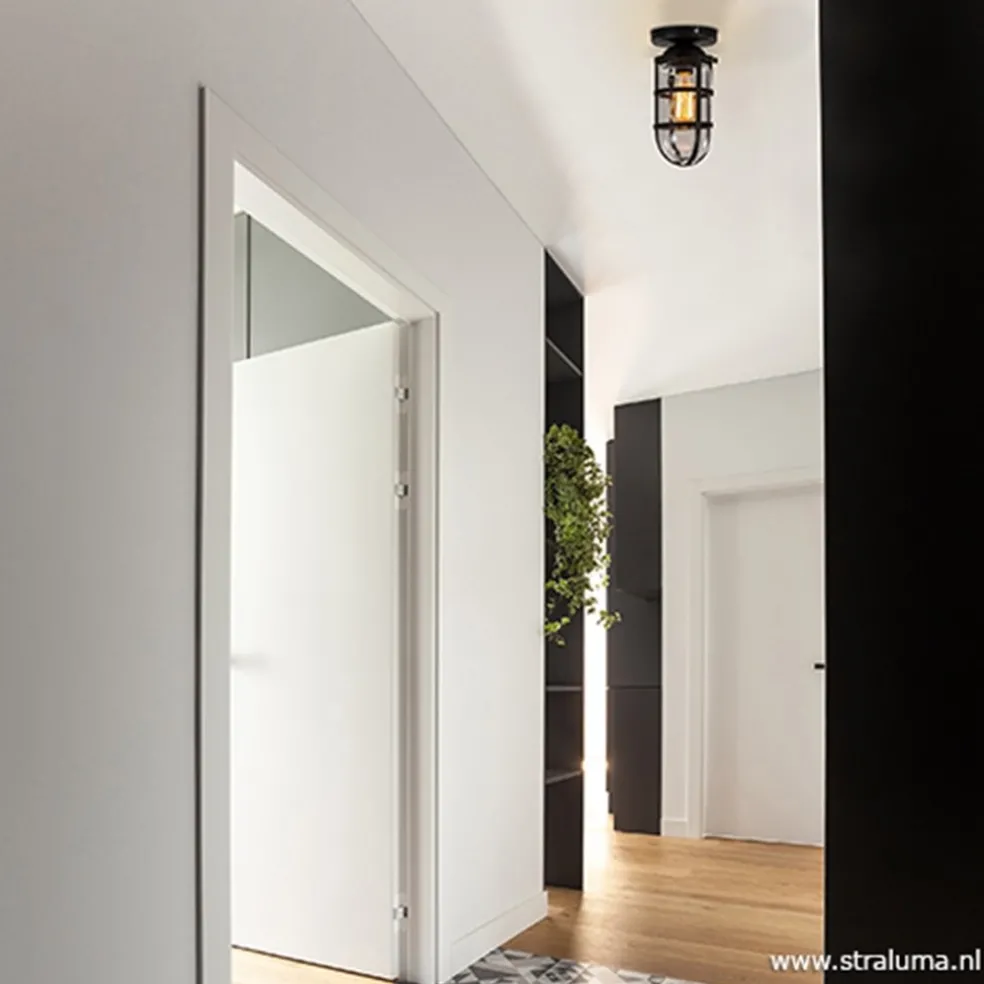 Zwarte Kooi- plafondlamp met glas